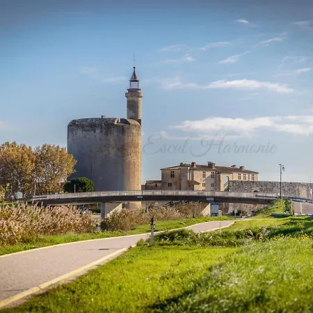 Maison Les Rives De La Tour - Proche Des Remparts - Idéalement Situé *